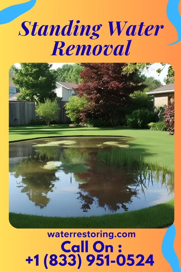 Standing Water Removal in Dubuque, IA